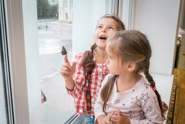 Two little girls sitting on the windowsill and playing with a butterfly - Fotó, kép