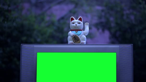 招き猫と緑の画面の古いテレビ。ナイト・トーン。緑の画面を必要な映像や画像に置き換えることができます。キー効果でそれを行うことができます。. - 映像、動画