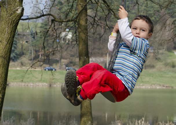 Child on swing - Фото, изображение