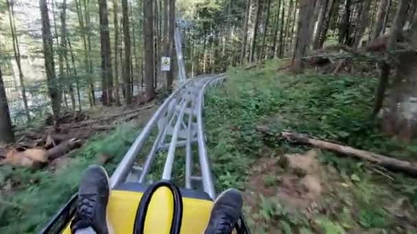Jeździ w rodelbahn lub Alpine Coaster saneczkarstwo saneczkarskie w górach w drewnie wśród drzew jesienią słoneczny dzień. Concept wakacje podróży wakacje turystyczne. POV - Materiał filmowy, wideo