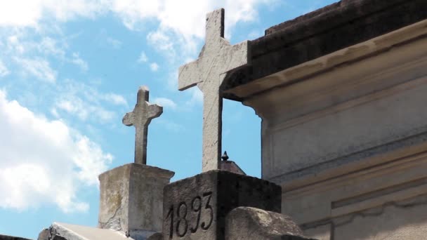 Anciennes croix au cimetière Recoleta, Buenos Aires, Argentine. - Séquence, vidéo
