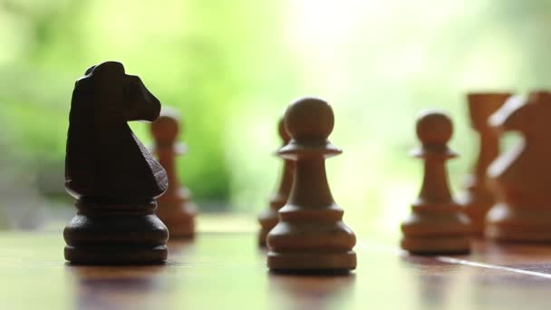 Male Hand making a Chess Move. Close-Up.  - Video, Çekim
