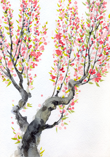 Watercolor spring background. Red flowers on tree branches - Фото, зображення