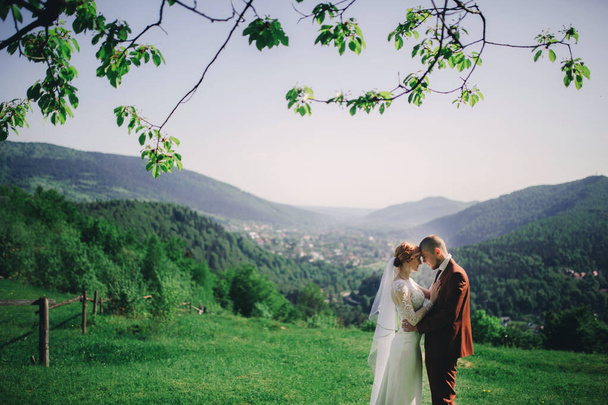 幸せなスタイリッシュな花嫁と新郎は、夏の晴れた日に山の中で走り、楽しんでいます。豪華な新婚夫婦は笑って真の感情。感情的なロマンチックな瞬間 - 写真・画像