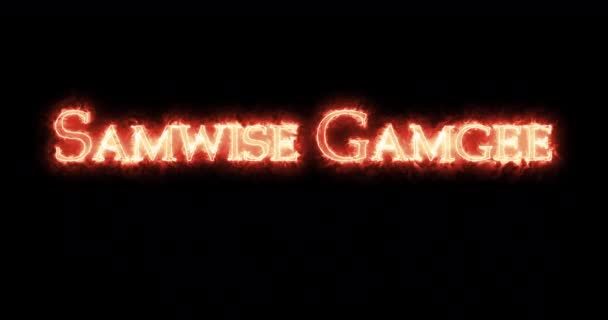 Samwise Gamgee written with fire. Loop - Footage, Video
