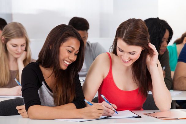 Onnellinen nainen college opiskelijat opiskelevat
 - Valokuva, kuva