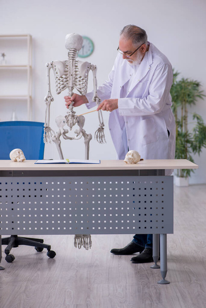 Viejo profesor de anatomía masculina demostrando esqueleto humano - Foto, Imagen