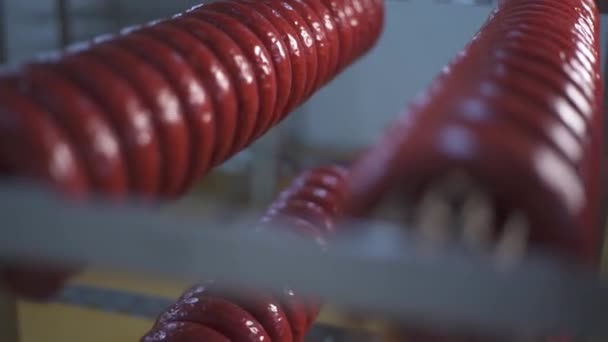 Salchichas turcas, producción de salchichas kangal - Imágenes, Vídeo