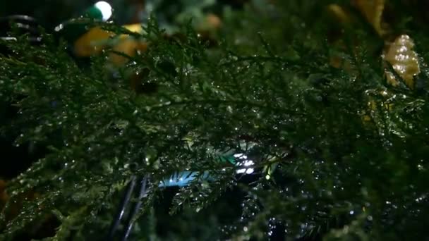 Λαμπερές γιρλάντες σε πράσινα δέντρα - Πλάνα, βίντεο