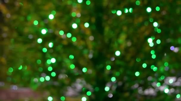 Świecące girlandy na zielonych drzewach - Materiał filmowy, wideo