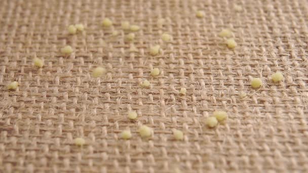 Couscous groats fall in a heap on sackcloth. Close-up. Macro. Slow motion - Footage, Video