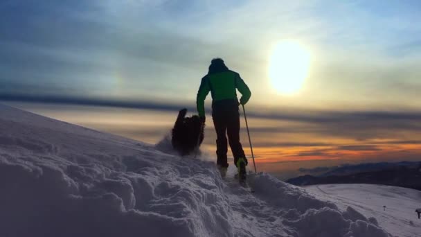 Mountaineer skier with seal skins and his dog - Footage, Video