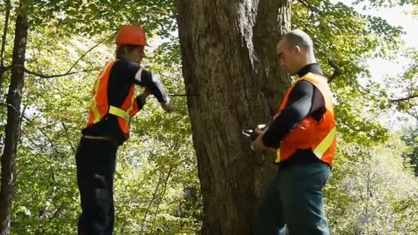 munkavállalók környezetvédelmi - Felvétel, videó