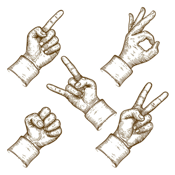 гравіювання Векторна ілюстрація п'яти рук
 - Вектор, зображення