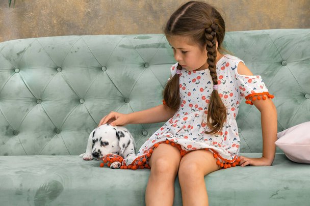 A little girl in a dress is gently stroking a Dalmatian puppy who is chewing on her dress - Foto, imagen