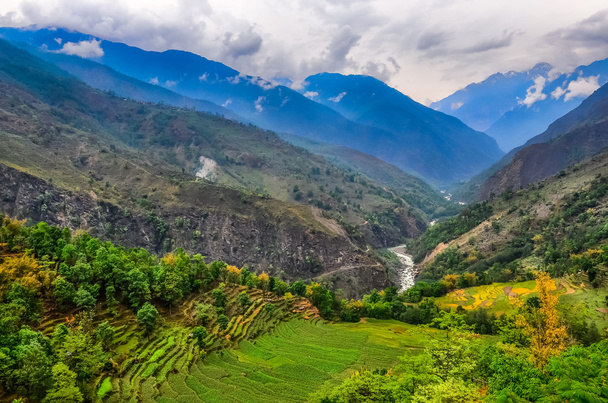 Paysage montagneux tropical avec champs au Népal
 - Photo, image