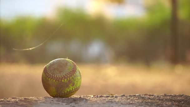 Amerikan beyzbol sopası ve topunun yakın çekim görüntüleri. Sıcak ışıkta yerde, oyuncunun eli beyzbol sopasını kaldırıyor ve koşuyor.  - Video, Çekim