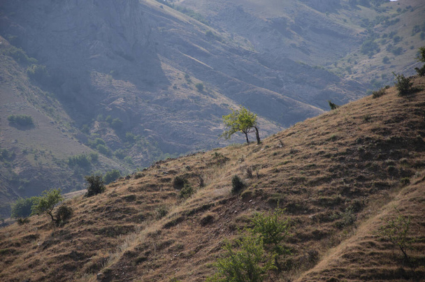 Sollievo di montagna nel Crimea in estate - Foto, immagini