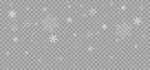 Caída de copos de nieve en el fondo transparente. Ilustración de nevadas con copos de nieve en diferentes formas y formas. Nieve cayendo. Vector. - Vector, imagen