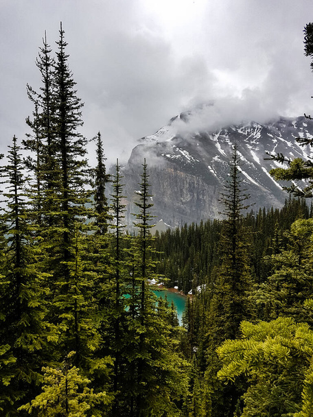 Top view on the lake Louise by a rainy day. Canada - Photo, Image