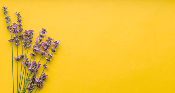 Fresh lavender flowers bouquet on yellow color background. Flatlay purple herbal flower blossom. Bouquet of lavender long web banner copy space for text. Lavender aromatherapy. - Valokuva, kuva