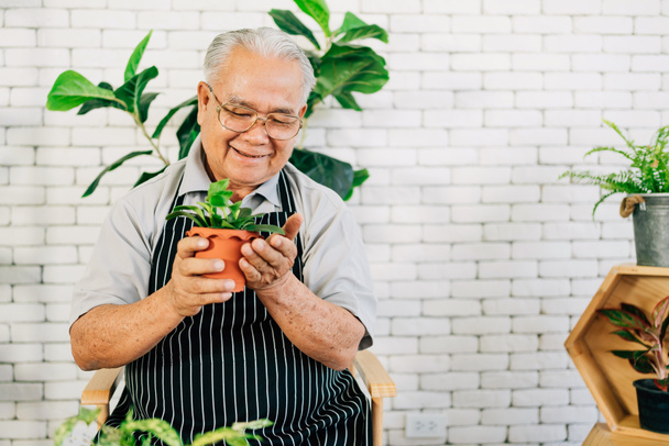 Aasialainen eläkkeellä oleva isoisä rakastaa huolehtia kasveista, pitäen kasveja ruukuissa onnellisuudella Eläkkeelle jääminen. - Valokuva, kuva