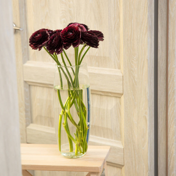A bouquet of dark brown burgundy ranunculus are in a round glass vase made of corrugated glass on a high wooden stool in the doorway as an interior decoration. Copy space - Foto, afbeelding