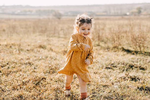 schattig klein meisje in stijlvolle jurk op de natuur - Foto, afbeelding