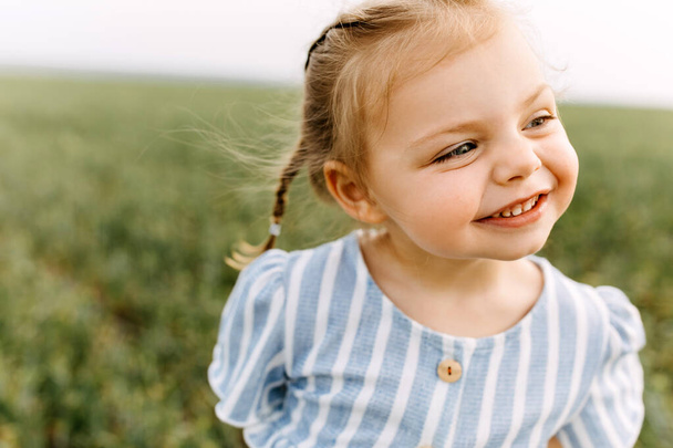 portrait of adorable little girl in green field - Photo, Image