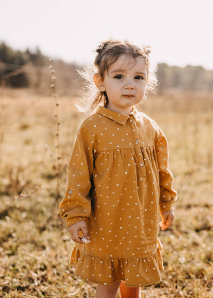 adorable little girl in stylish dress on nature - 写真・画像