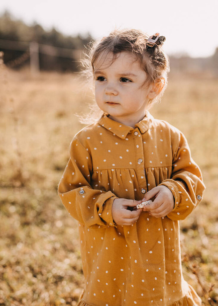 adorable little girl in stylish dress on nature - Фото, изображение