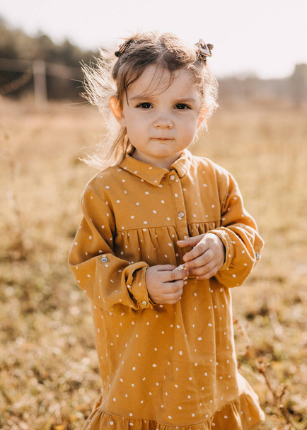 adorable little girl in stylish dress on nature - Photo, Image