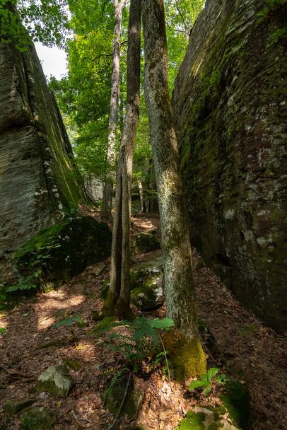 Egyedülálló sziklaképződmények a Bell Smith Springs körüli túraútvonalon. Shawnee Nemzeti Erdő, Illinois. - Fotó, kép