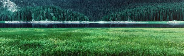 panorama jeziora czarne - park narodowy durmitor - Zdjęcie, obraz