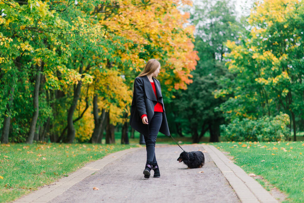 Young attractive woman holding her dachshund dog in her arms outdoors in sunrise in park at autumn time - Photo, image