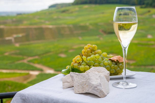 Fehér kréta kövek Cote des Blancs közelében Epernay, régió Champagne, Franciaország, üveg blanc de blancs pezsgő nagy cru szőlőültetvények Cramant és fehér chardonnay szőlő közeli - Fotó, kép