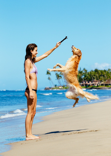 Woman Playiing with Dog Jumping into the Air - Фото, зображення