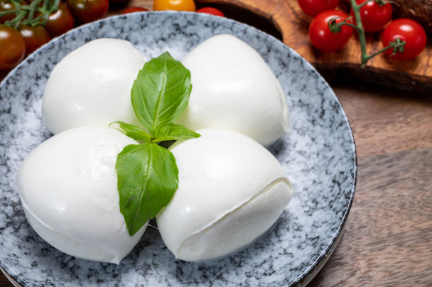 Cheese collection, white balls of soft Italian cheese mozzarella, served with red cherry tomatoes, fresh basil leaves close up - Photo, Image