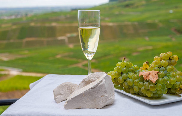 Λευκές πέτρες κιμωλίας από το Cote des Blancs κοντά στο Epernay, περιοχή Champagne, Γαλλία, ένα ποτήρι blanc de blancs σαμπάνια από μεγάλους αμπελώνες cru στο Cramant και λευκά σταφύλια chardonnay κοντά - Φωτογραφία, εικόνα