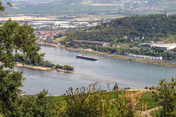 pohled na úbočí kopce vinic podél řeky Rýn a plnější aue ostrov v Rýně v blízkosti ruedesheim, Německo - Fotografie, Obrázek