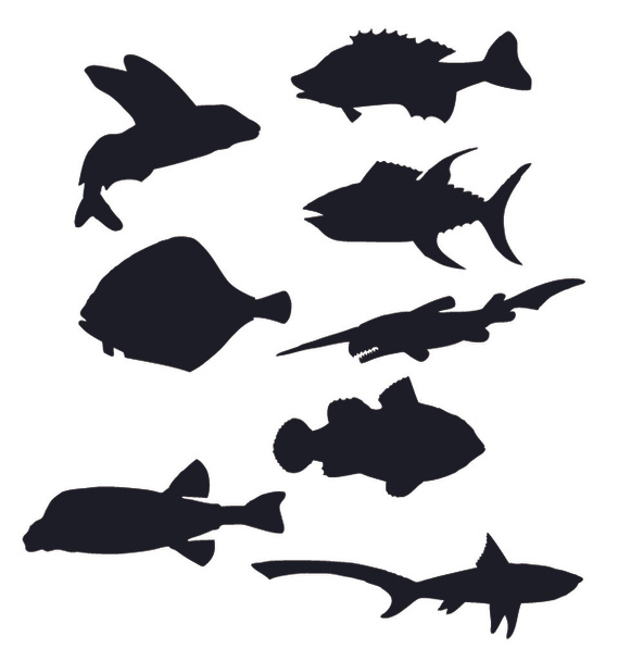 ψάρια σιλουέτες vector - Διάνυσμα, εικόνα