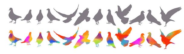 Vogelaquarel. Een kudde kleurrijke vogels. Vector - Vector, afbeelding