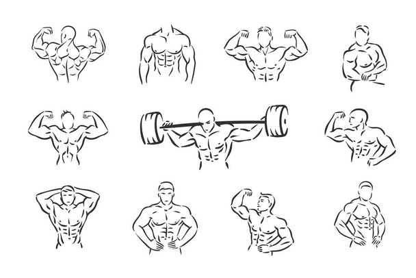 Free Vector  Arms workout set on white background exercises for women  triceps biceps strength