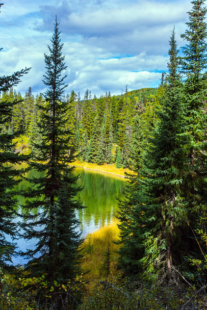 Quiet shallow lake surrounded by forest and yellow autumn grass. Cloudy sky reflected in lake water. Rocky Mountains of Canada. The concept of ecological, active and photo tourism - Photo, Image