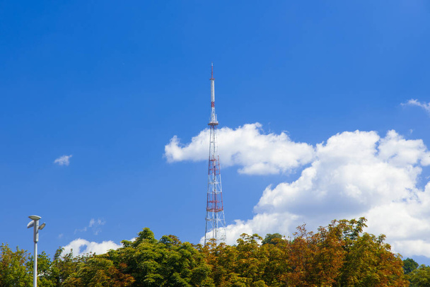 TV tower local infrastructure communication object high metal construction building above green foliage park district clear weather day time blue sky - Fotoğraf, Görsel