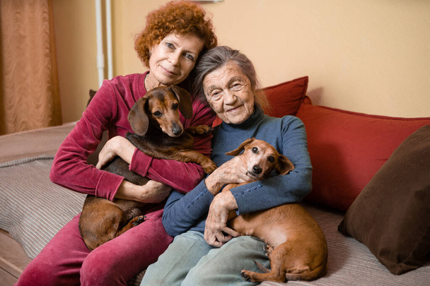 Ηλικιωμένη γυναίκα και η ενήλικη κόρη της μαζί με δύο σκυλιά dachshund στον καναπέ σε εσωτερικούς χώρους περνούν χρόνο ευτυχισμένοι, πορτρέτο. Θέμα σχέσης μητέρας και κόρης, φροντίδα γονέων, φροντίδα οικογένειας. - Φωτογραφία, εικόνα