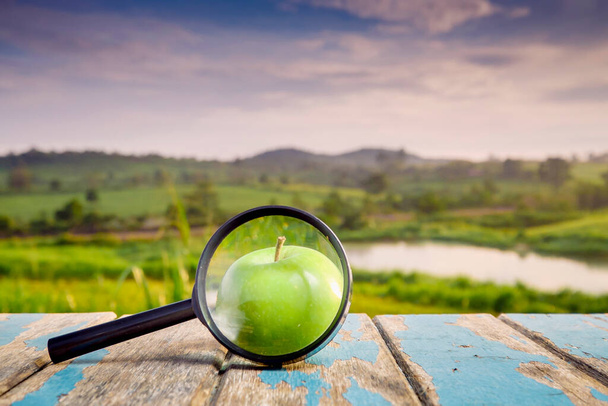 Nagyító üveg és zöld alma fa asztalra a napfényben, homályos természetű háttér. - Fotó, kép