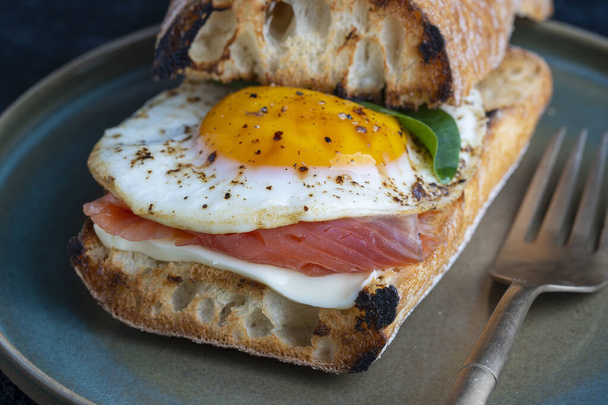 Fresh salmon, egg sandwich, close up. Salted salmon, fried egg, butter and white bread on the plate - Foto, Imagen