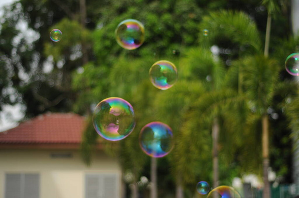  Боке освещает и размывает детей, играющих на фоне пузырей - Фото, изображение