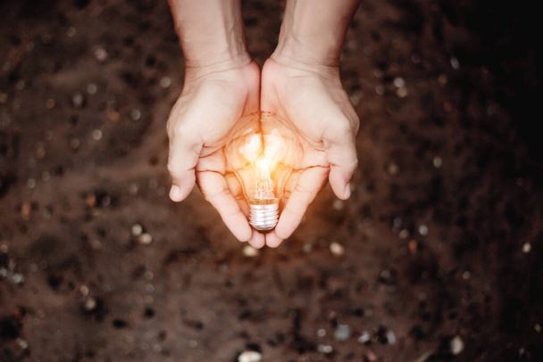 Hand holding light bulb,natural energy and love the world concept. - Photo, Image